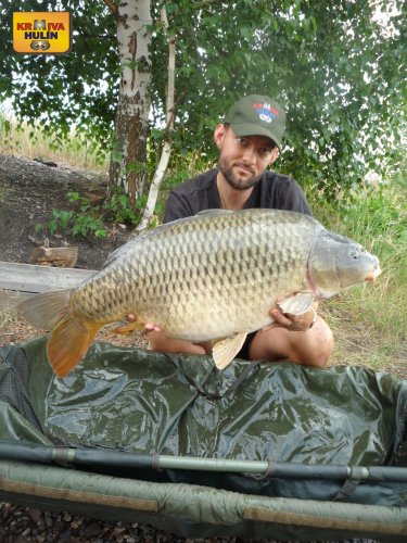 13,2kg, zig rig pop up švestka/česnek