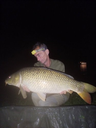 Boilies Pikantní perník