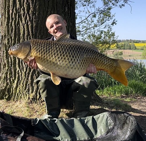 Boilies Pikantní krill, pop up Bílý pepř