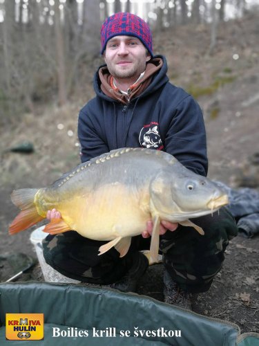 Boilies krill se švestkou