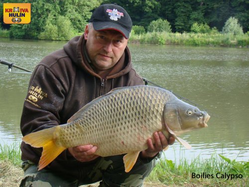 Boilies Calypso