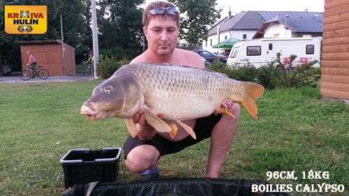 96cm, 18kg, boilies Calypso