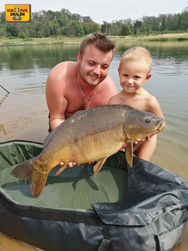 Boilies medová pampeliška.