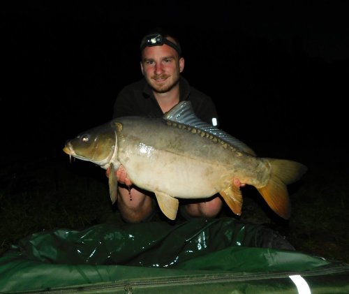 Boilies Calypso