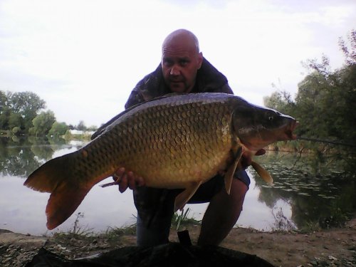 17kg, boilies Krill a oliheň neutrálně vyvážené
