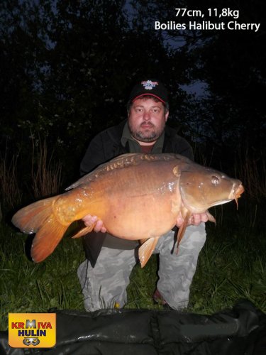 77cm, 11,8kg, boilies Halibut/Cherry, svazová voda