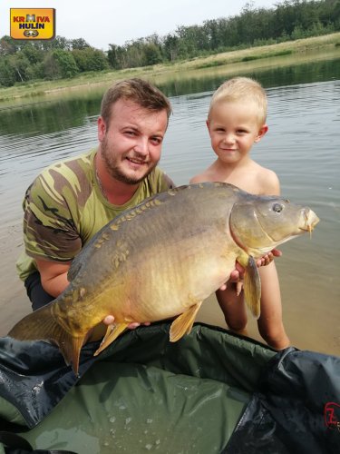 Boilies medová pampeliška.