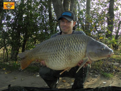 15,3kg, boilies konopný květ