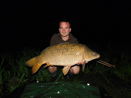 Boilies Pikantní jahoda