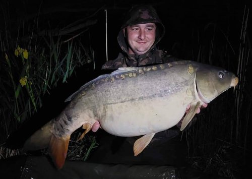 Boilies Pikantní krill