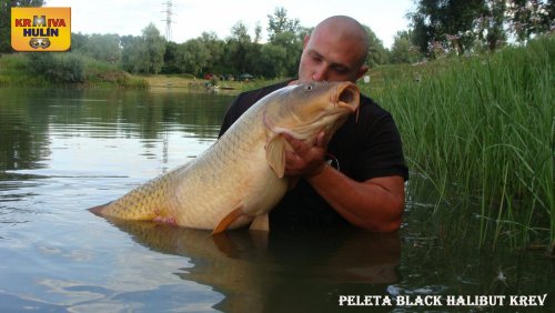 Peleta Black halibut krev