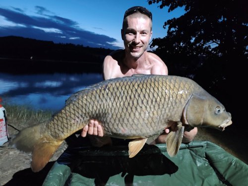 Rozpustné boilies Krill a Oliheň