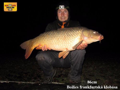 Boilies frankfurtská klobása