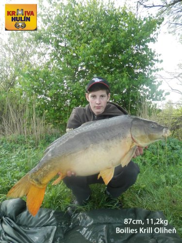 87cm, 11,2kg, boilies Krill/Oliheň, svazová voda