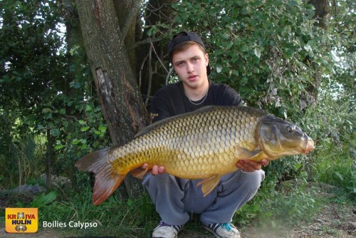Boilies Calypso