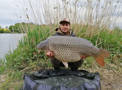 27,1kg, boilies Calypso