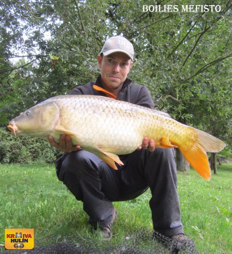 89cm, boilies mefisto
