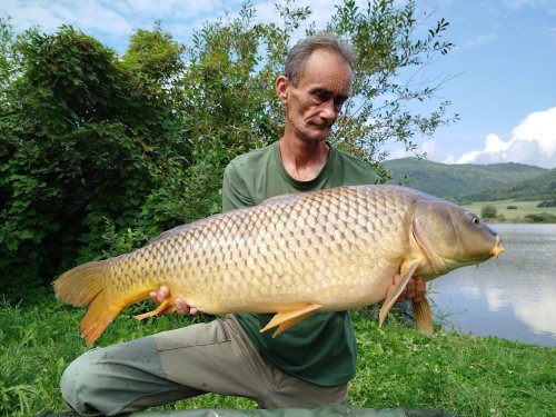 Boilies Pikantní perník