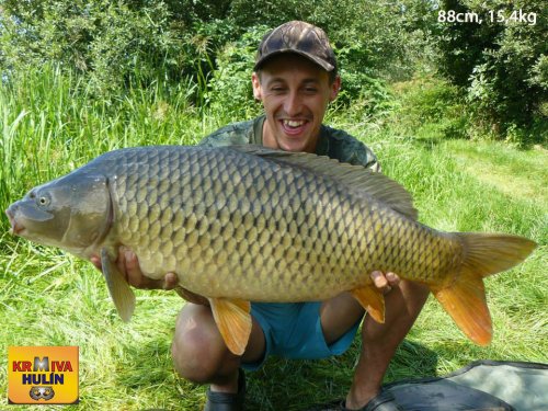 88cm, 15,4kg