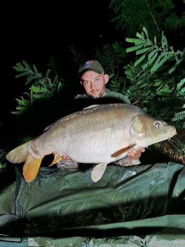15,6kg, boilies White scopex