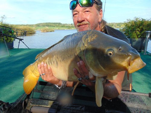 Boilies Calypso