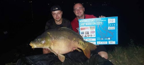 Boilies Pikantní krill
