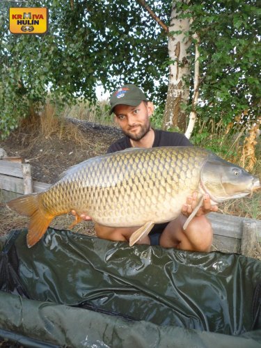 18,6kg, zig rig pop up ananas