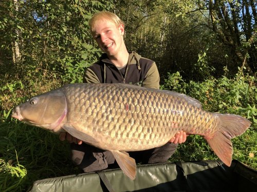17,2kg, boilies Krill a oliheň