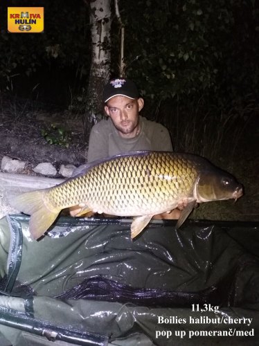 11,3kg, boilies halibut/cherry, pop up pomeranč/med