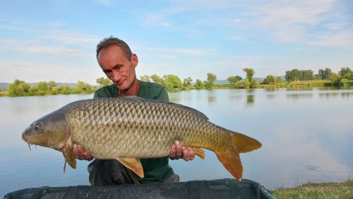 Boilies Pikantní krill