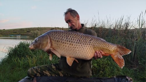 Boilies Pikantní perník