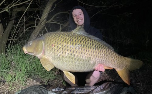 Boilies Tygří ořech
