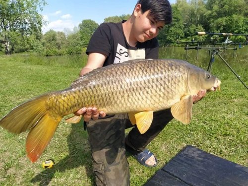 Boilies Pikantní jahoda