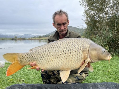 Boilies Pikantní perník