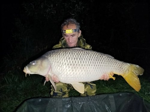 Boilies Švestka s česnekem