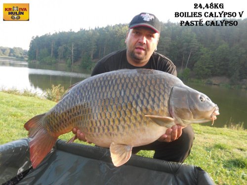 24,48kg, boilies Calypso, obalovací těsto Calypso