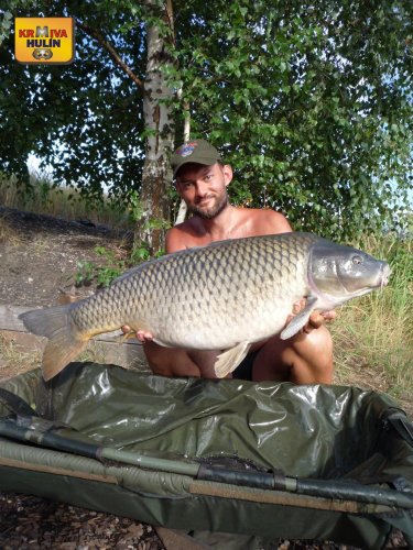 17,5kg, zig rig - pop up ananas