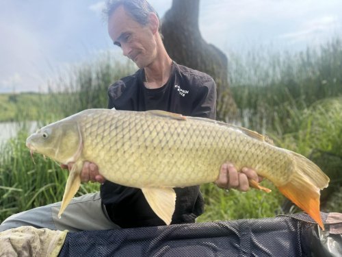 Boilies Pikantní krill