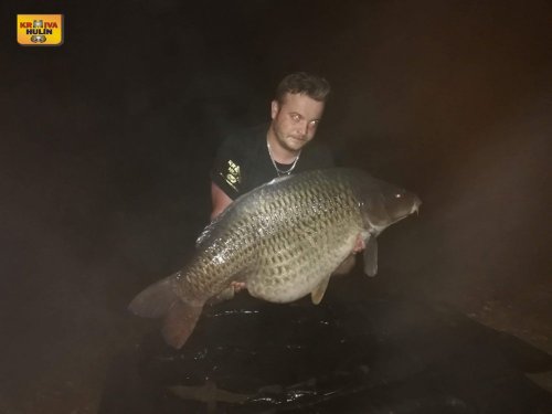 99cm, 30,9kg, pop up ananas, zig rig směs krill/švestka