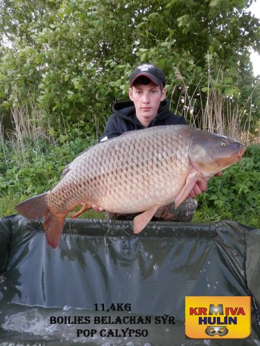 11,4kg, boilies Belachan/Sýr v dipu, pop up Calypso, svazová voda