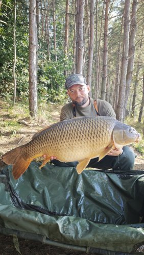 17,8kg, Boilies Pikantní perník