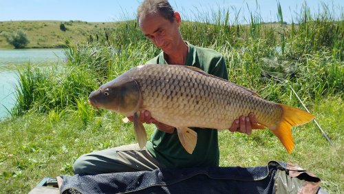 Boilies Mefisto