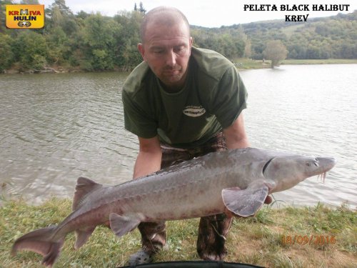 Peleta Black halibut Krev