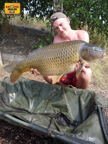 14kg, boilies krill a oliheň, pop up oliheň