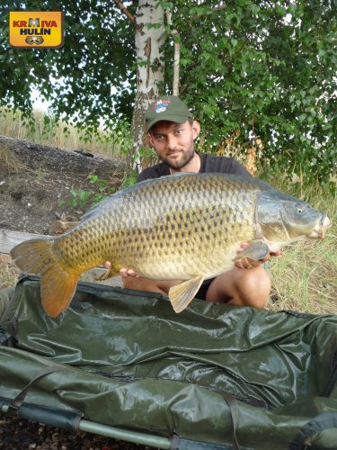 18,2kg, zig rig - pop up švestka/česnek