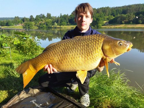 Boilies Pikantní jahoda