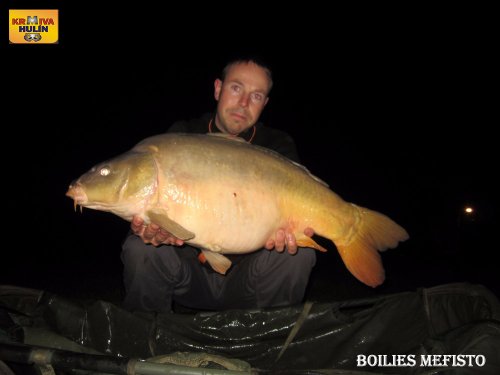 Boilies mefisto