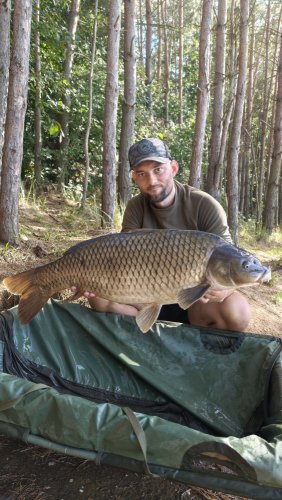 Boilies Pikantní perník