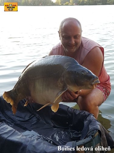Boilies ledová oliheň