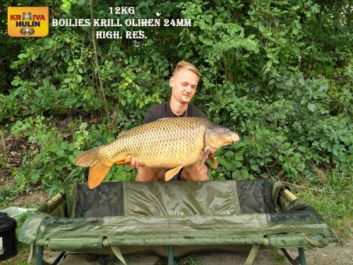 12kg, boilies Krill/Oliheň, svazová voda